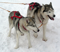 Nahanni and Touvik